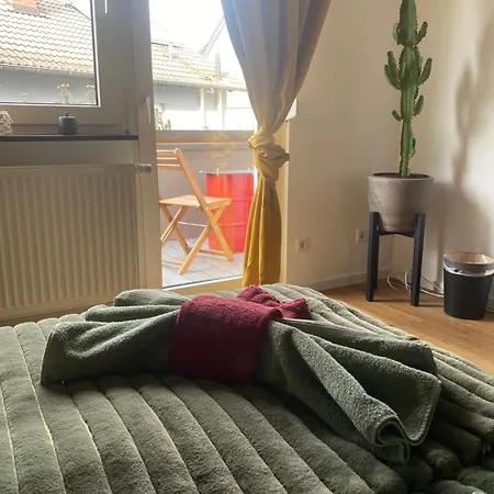 Roomy Comfort - Zwischen Heidelberg Und Mannheim