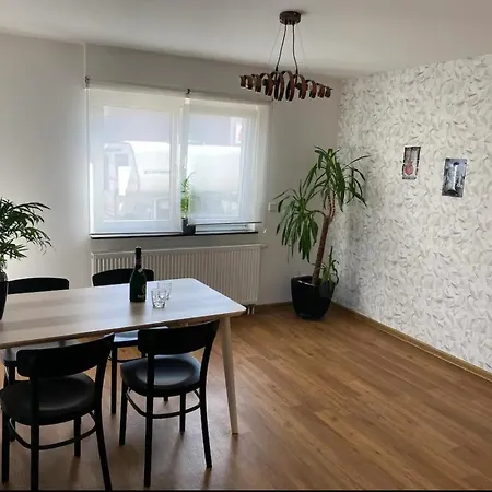 Roomy Comfort - Zwischen Heidelberg Und Mannheim Apartment *